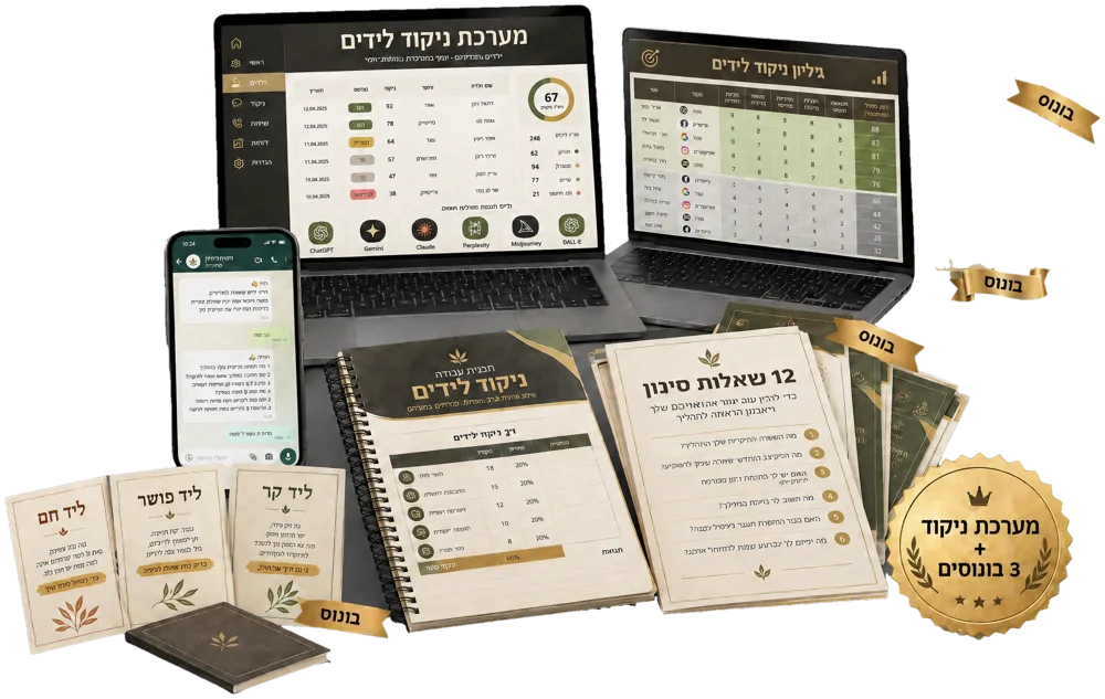 מערכת ניקוד לידים